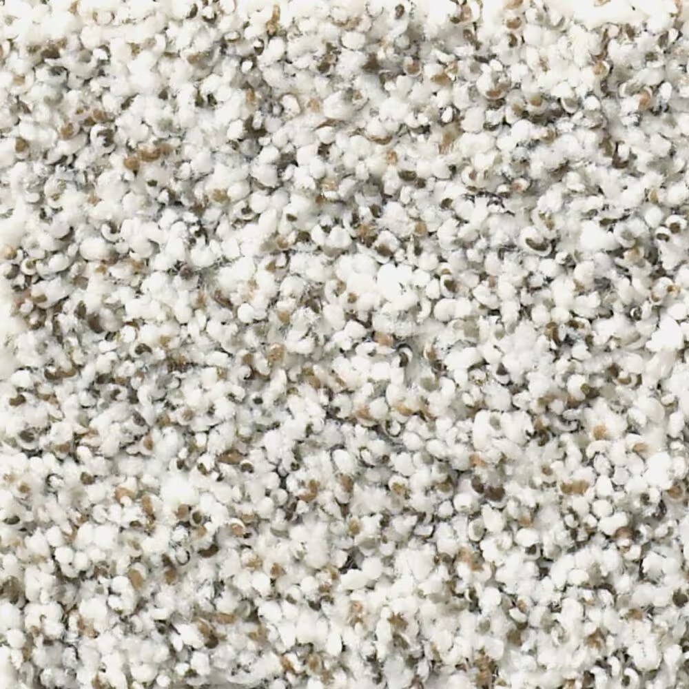 Shaw Foundations Make It Work Carpet in Snow Bound