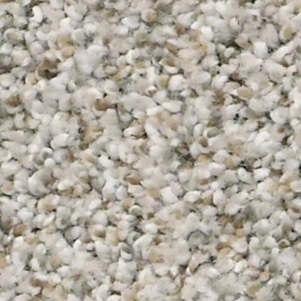 Shaw Make It Work Carpet in Trade Wind