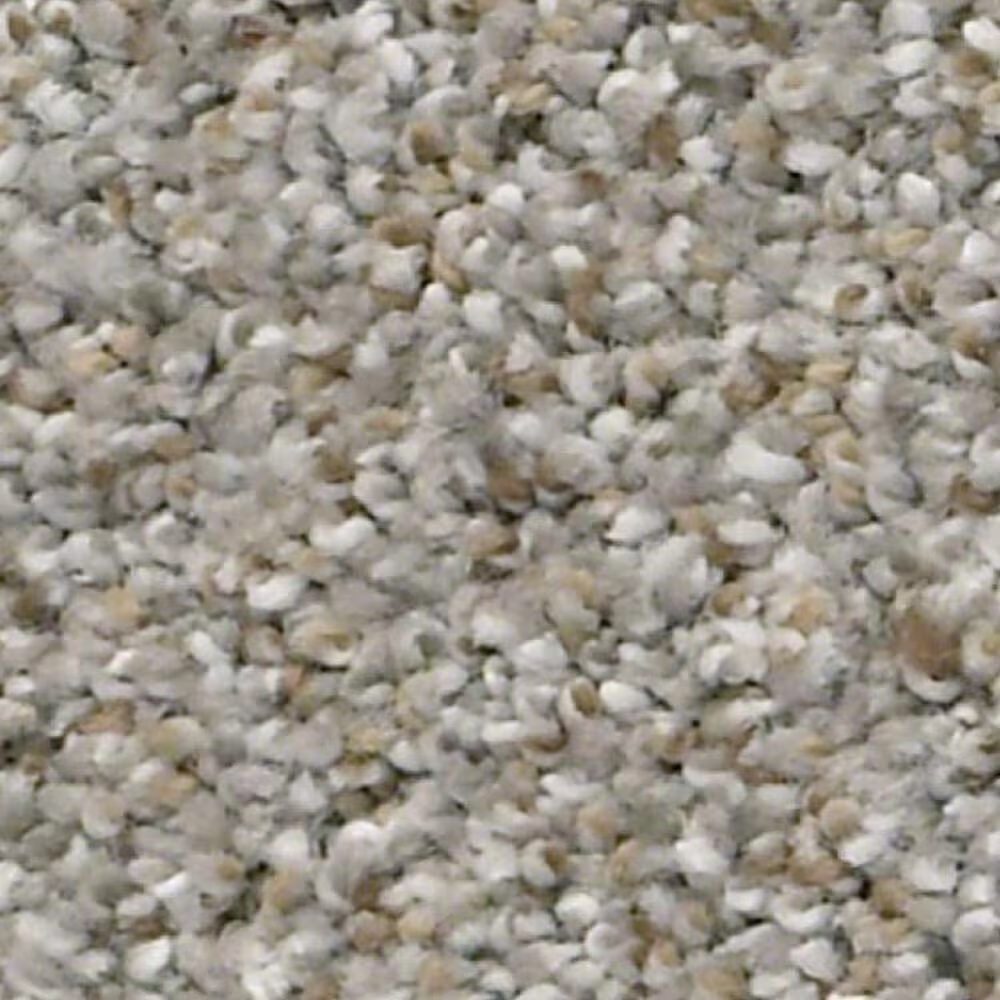 Shaw Make It Work Carpet in Chatroom