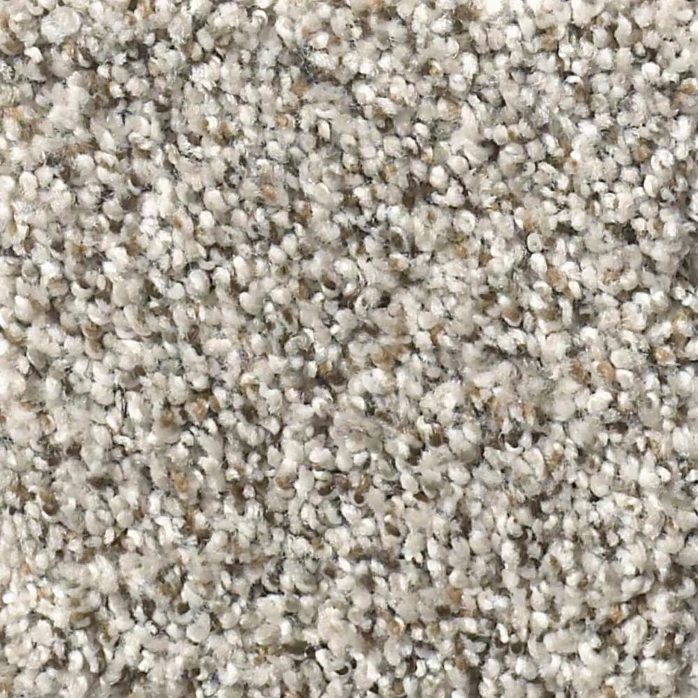 Shaw Foundations Make It Work Carpet in Stormy