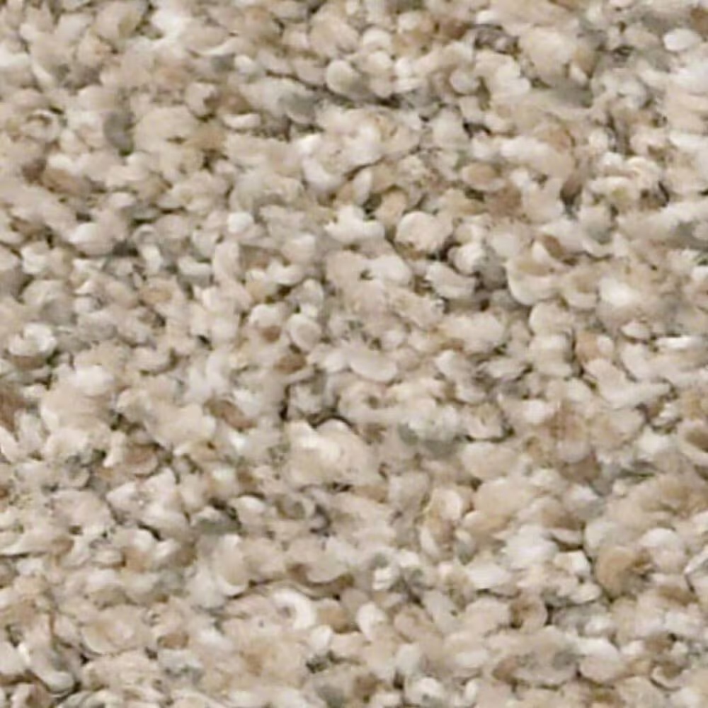 Shaw Make It Work Carpet in Sands of Time