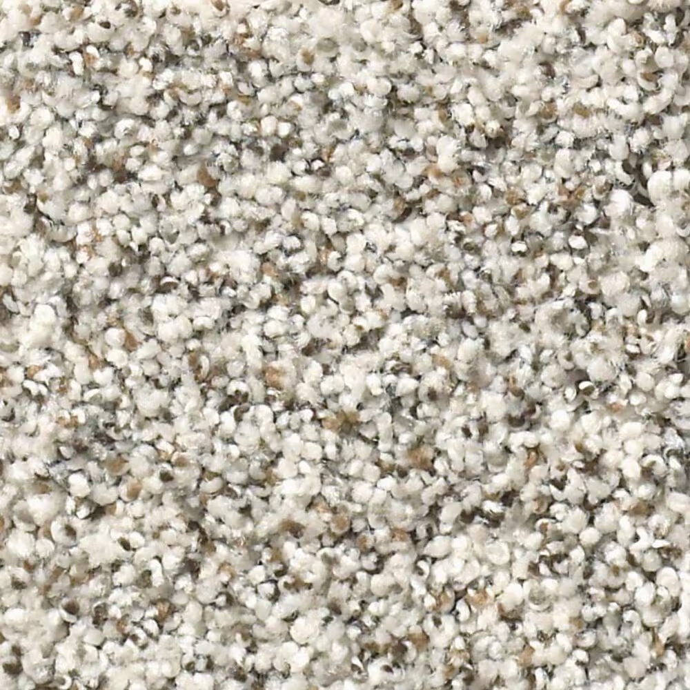Shaw Foundations Make It Work Carpet in Heirloom