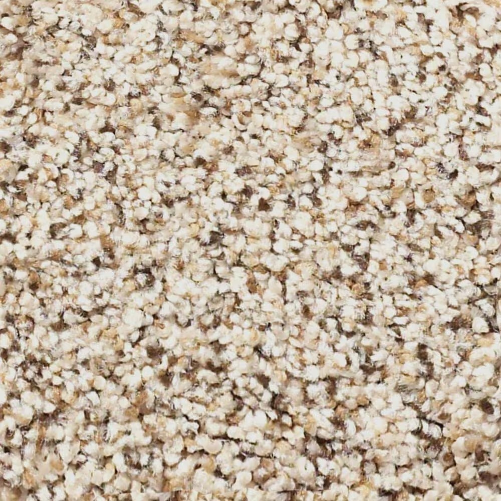 Shaw Mix It Up Carpet in Horizon
