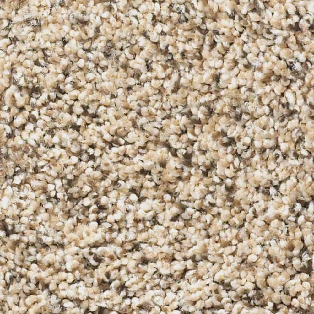 Shaw Mix It Up Carpet in Sand Castle