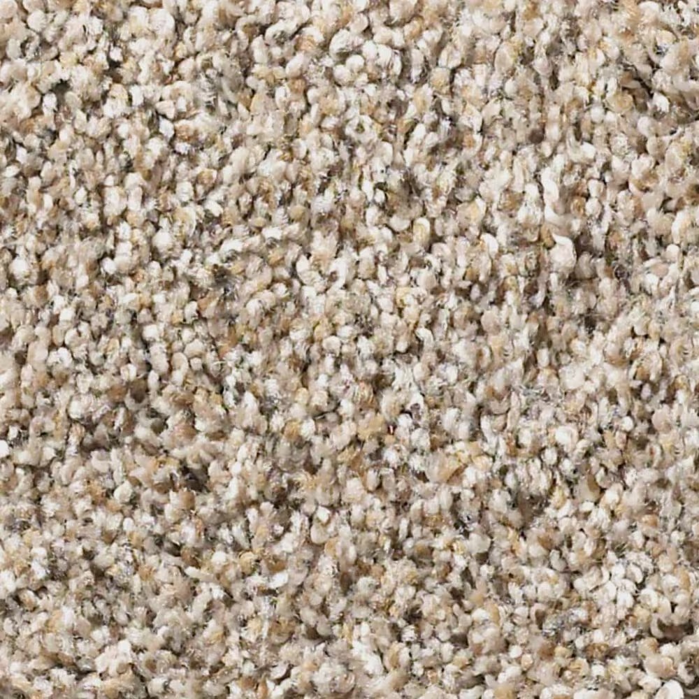 Shaw Mix It Up Carpet in Acreage