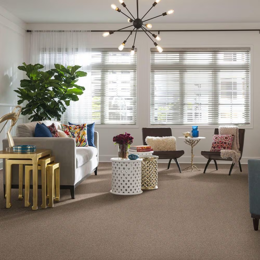14952-shaw-mix-it-up-carpet-in-acreage-1.jpg