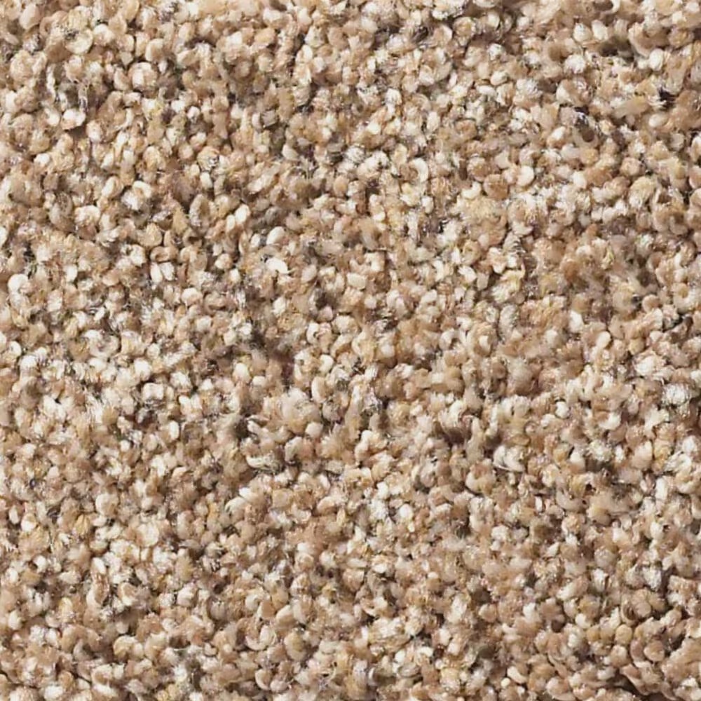 Shaw Mix It Up Carpet in Arrowhead