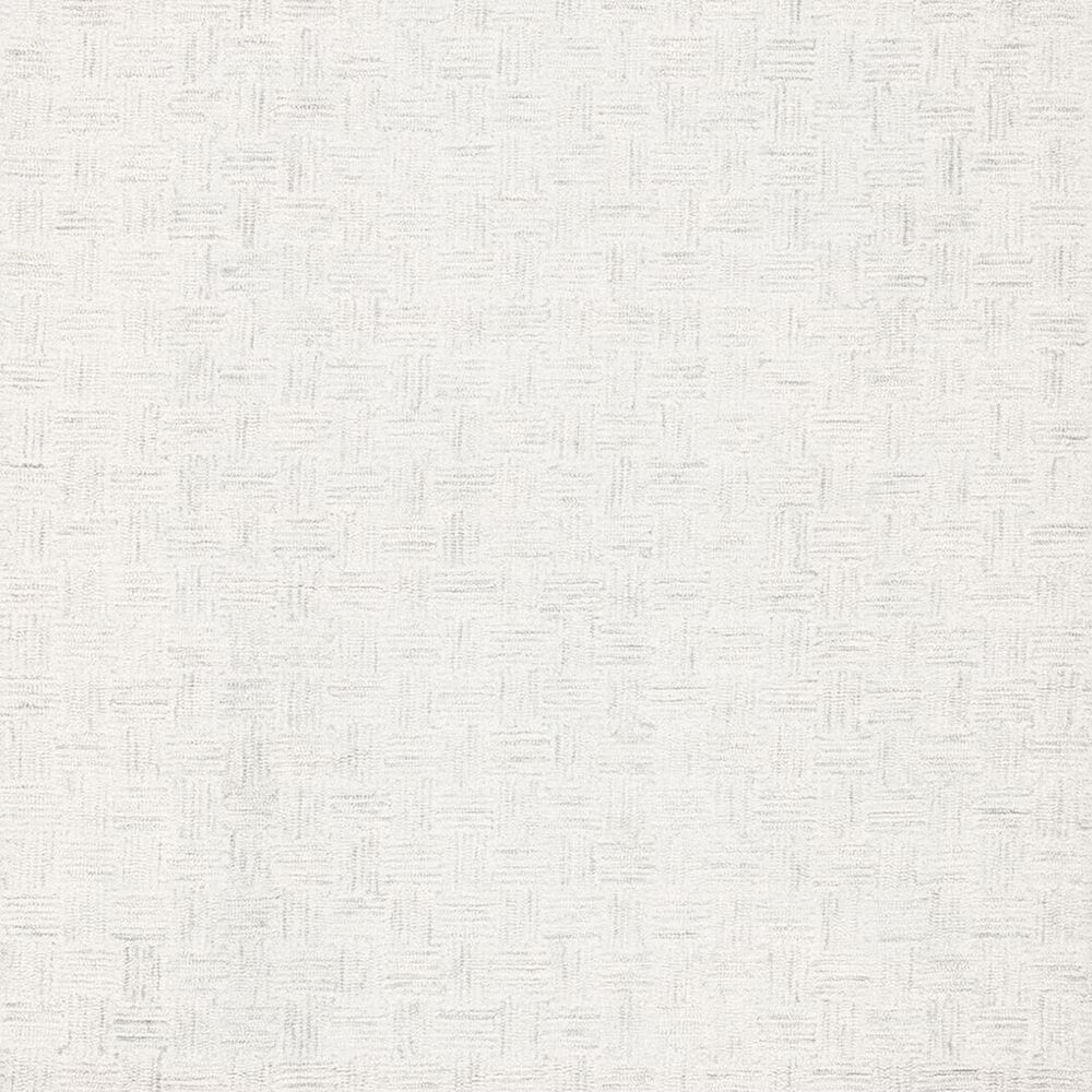 152221-safavieh-micro-loop-10-x-14-light-grey-and-ivory-area-rug-1.jpg