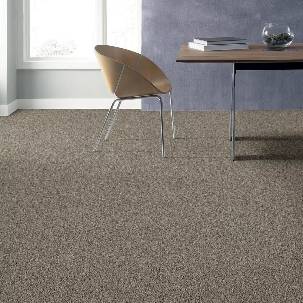 Shaw Frosting Net Carpet in Echo