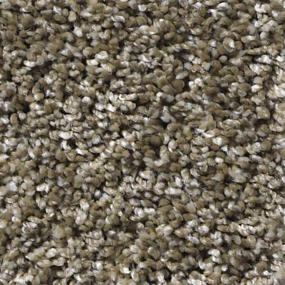 Shaw Frosting Net Carpet in Dirt Road