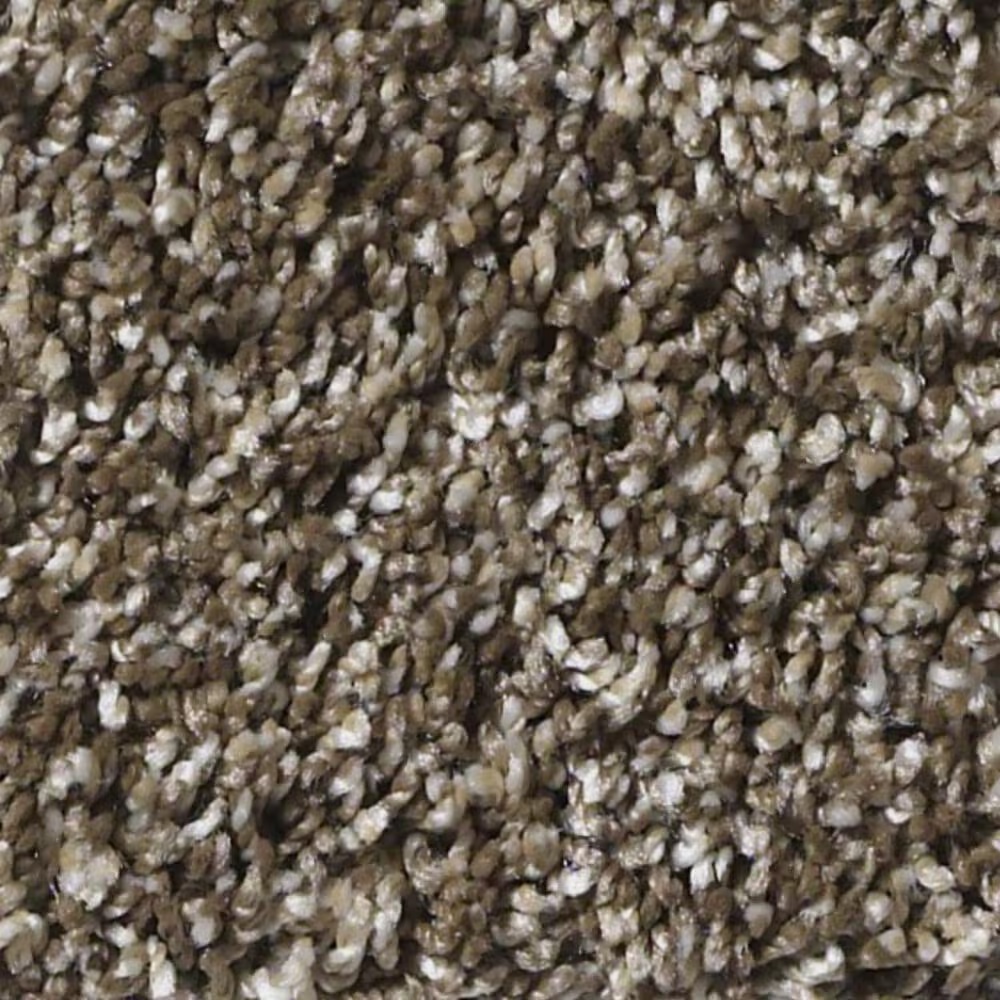 Shaw Frosting Net Carpet in Sweet Tea