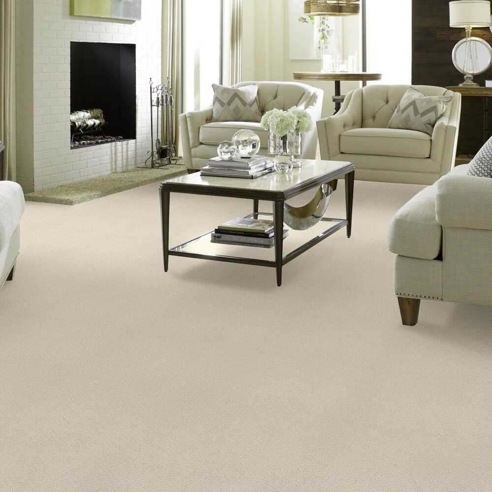 15668-shaw-foundations-infallible-instinct-carpet-in-alabaster-1.jpg