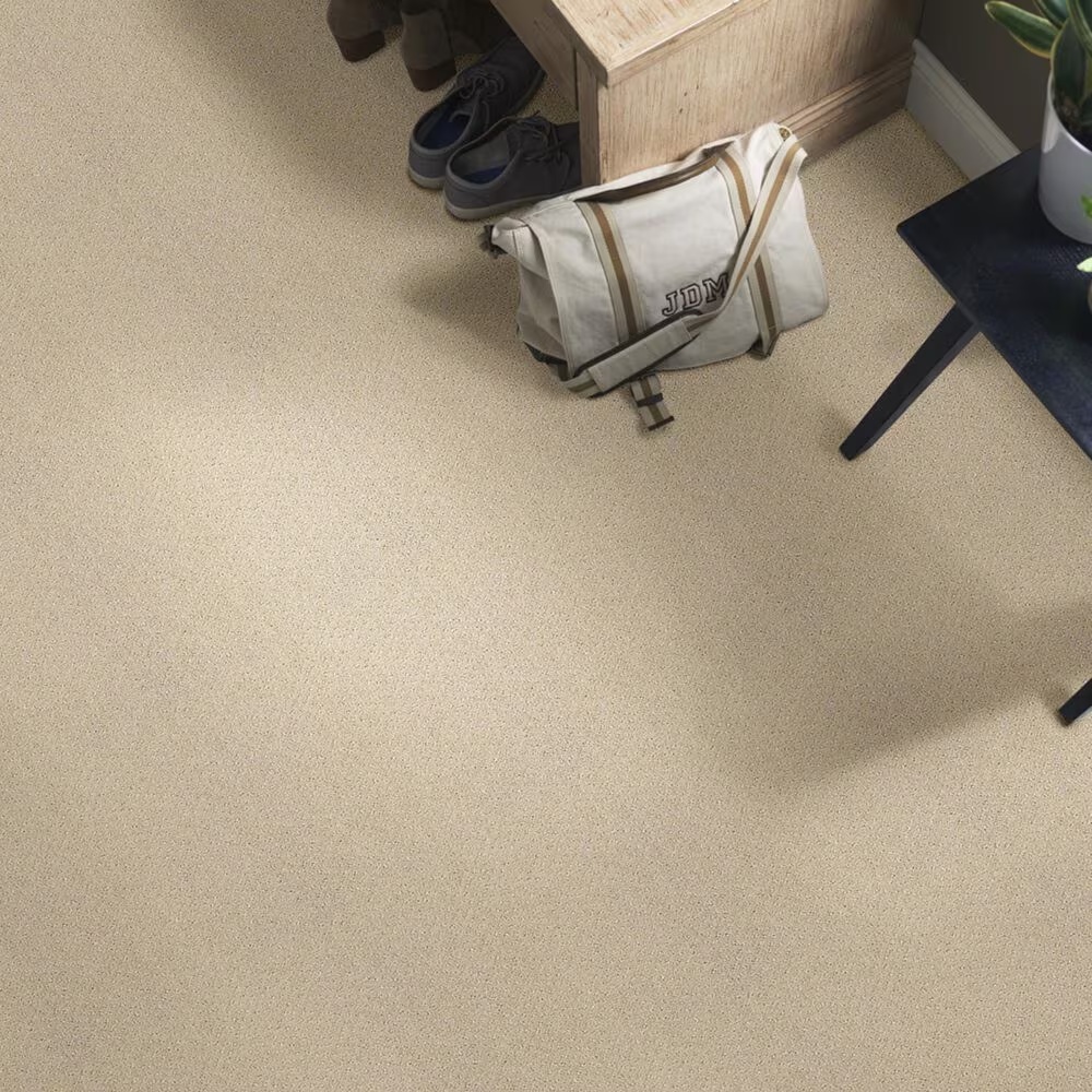 15669-shaw-foundations-infallible-instinct-carpet-in-studio-taupe-1.jpg