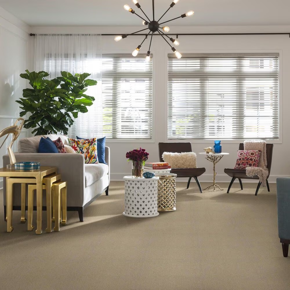 15669-shaw-foundations-infallible-instinct-carpet-in-studio-taupe-1.jpg