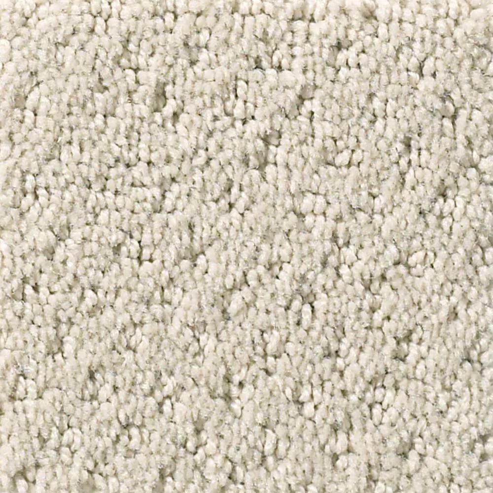 Shaw Foundations Infallible Instinct Carpet in Quiet Moment