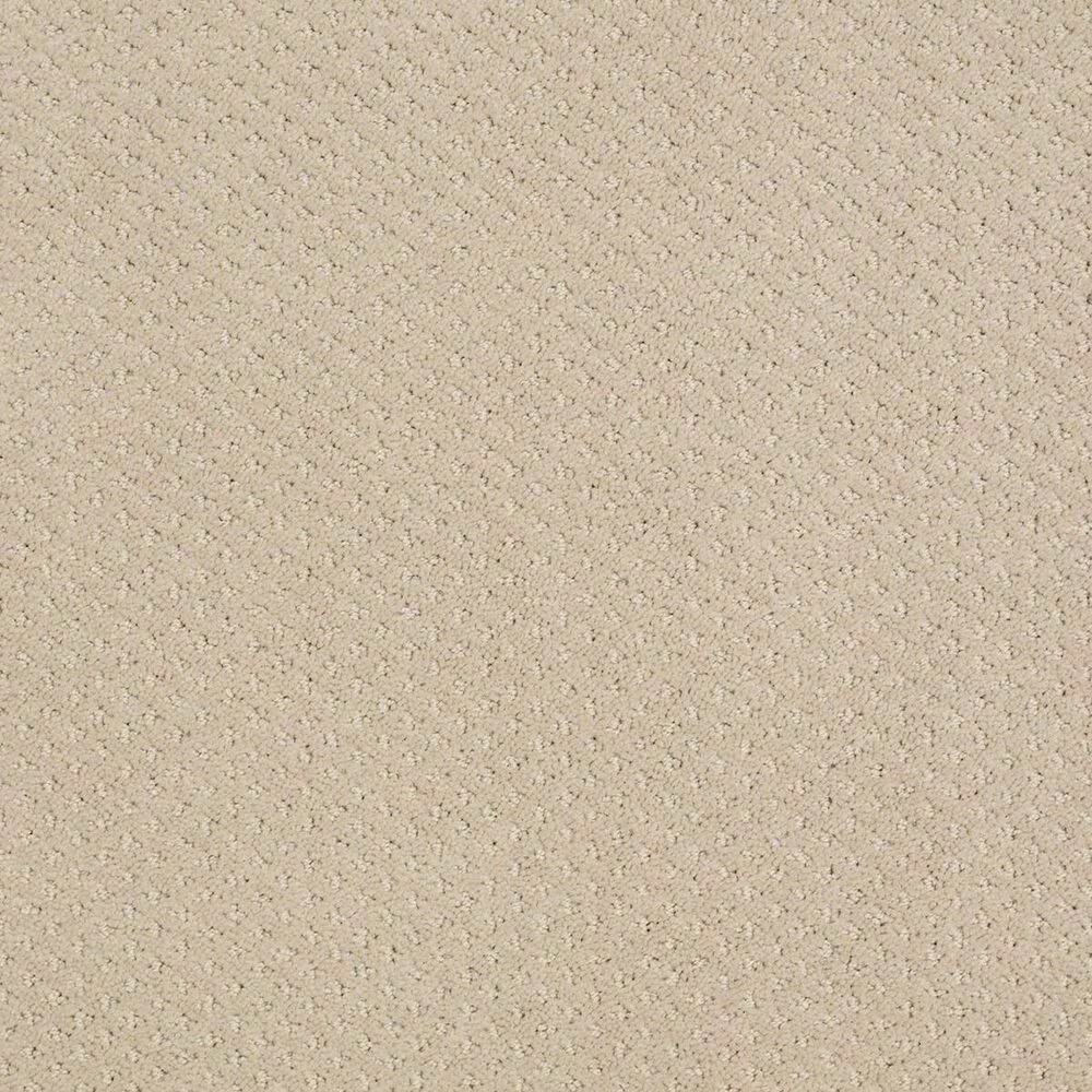 Shaw Infallible Instinct Carpet in Boutique