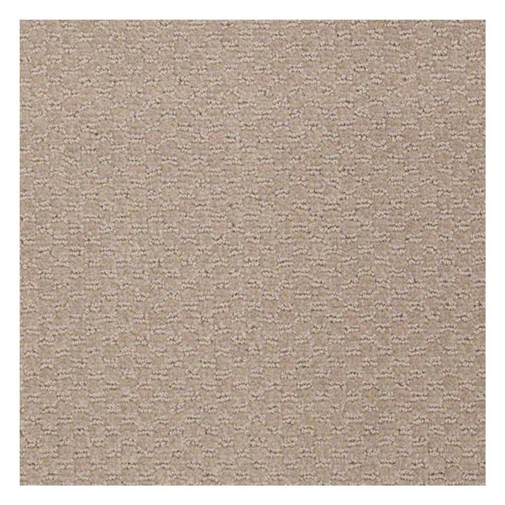 Shaw Latest Trend Carpet in Boulder