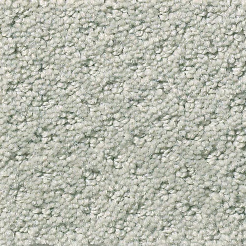 Shaw Foundations Infallible Instinct Carpet in Offshore Mist