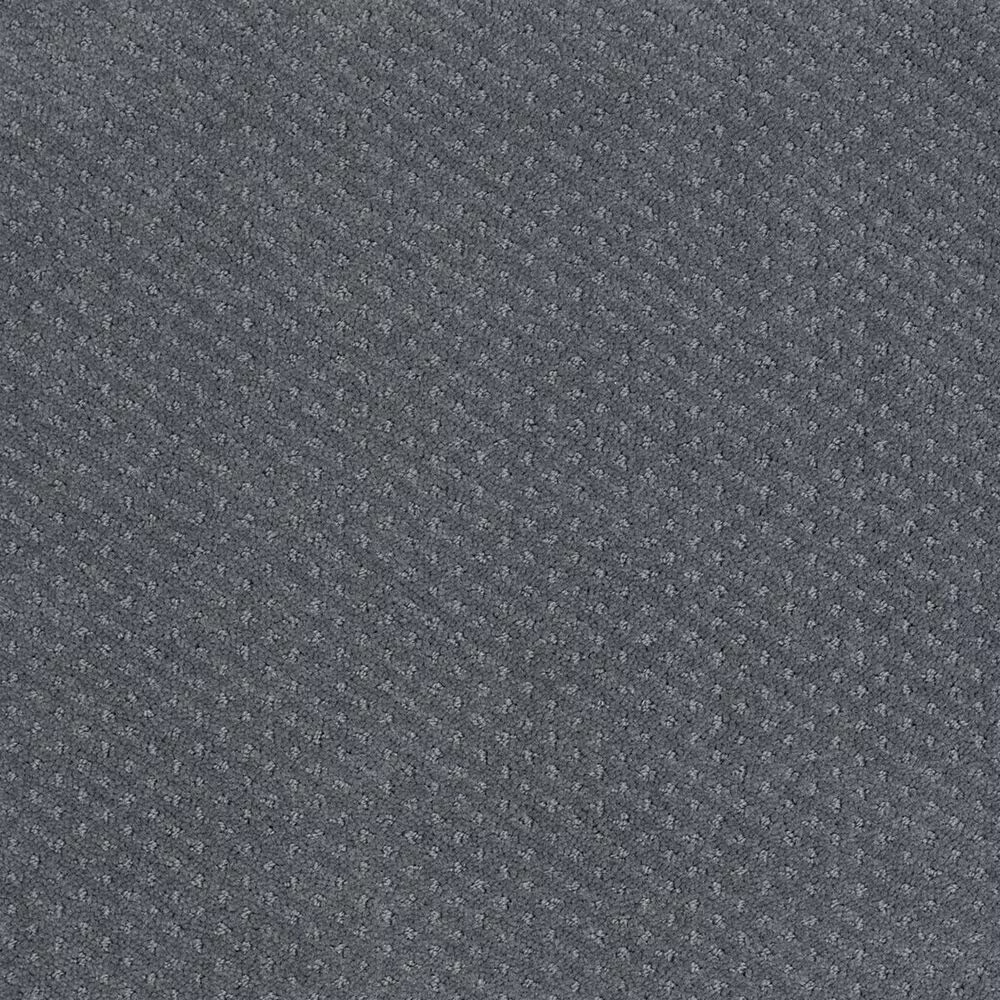 Shaw Infallible Instinct Carpet in Voyage
