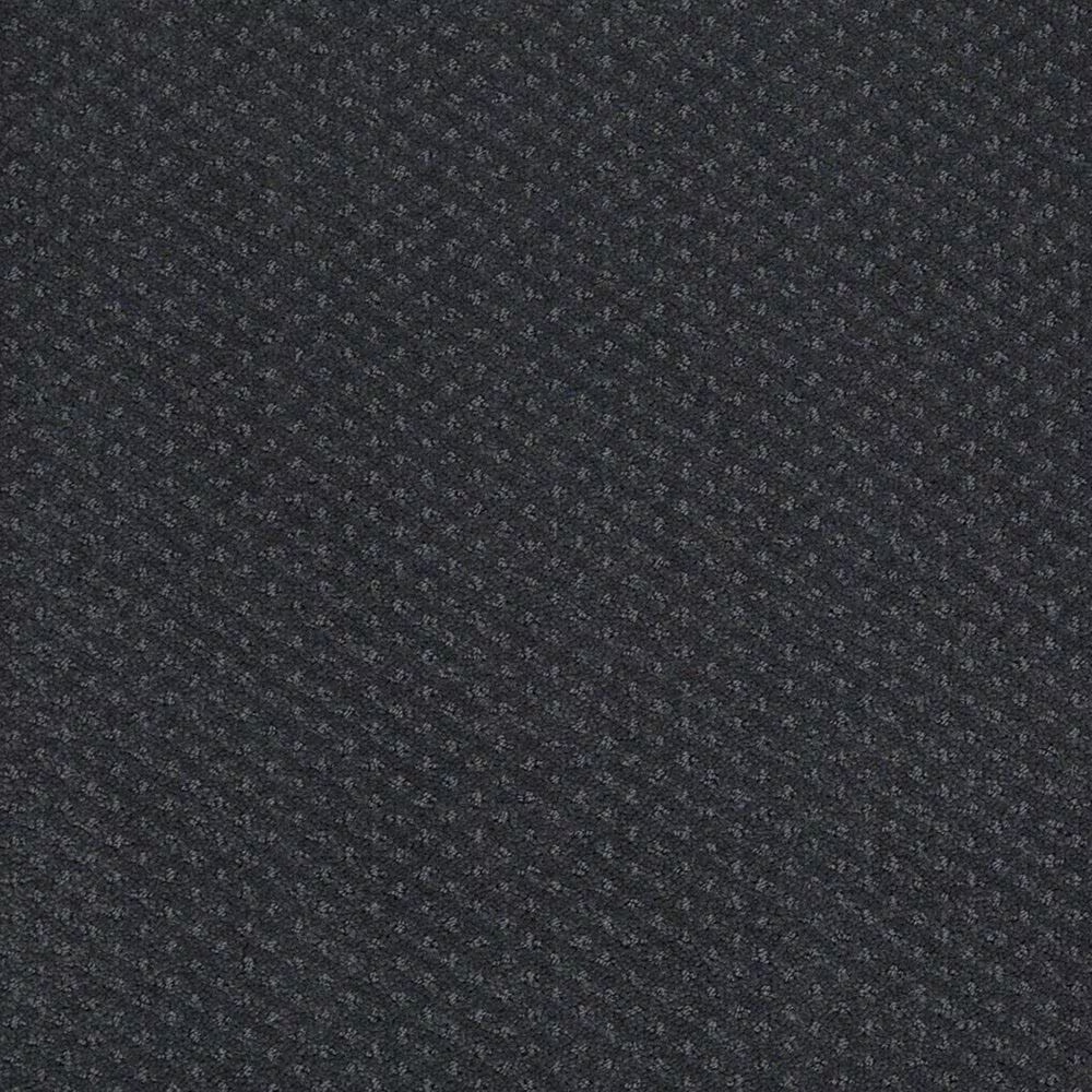 Shaw Infallible Instinct Carpet in Moon Bay
