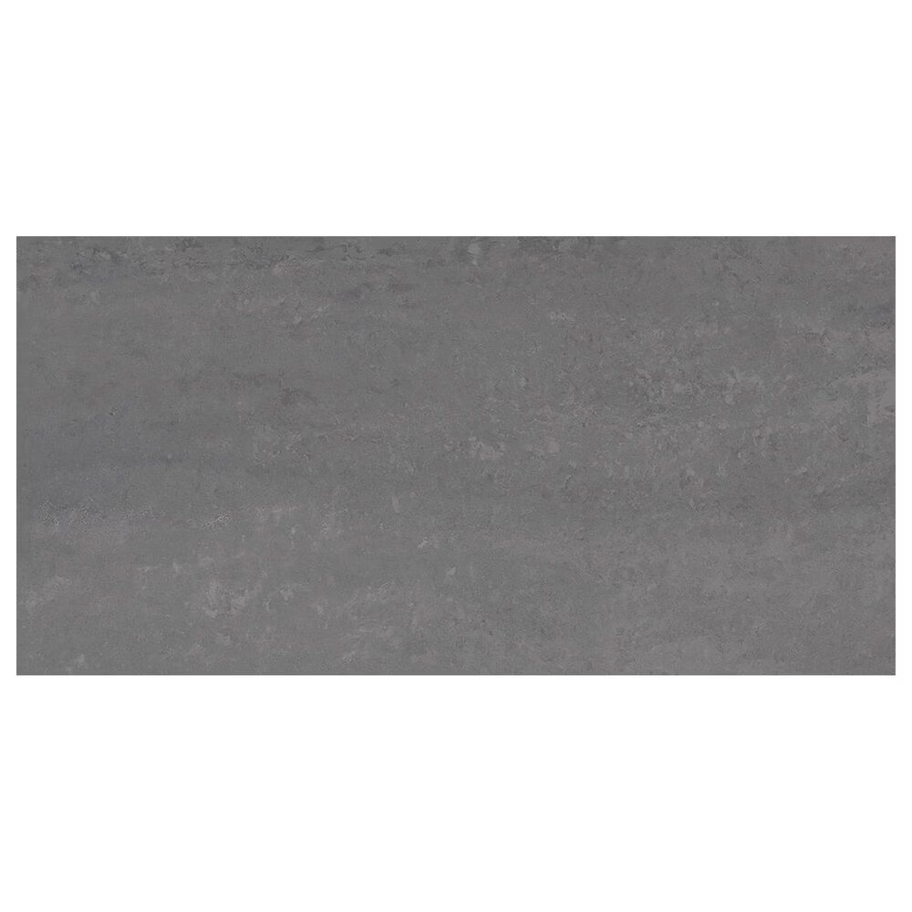 Emser Prodigy Mill 12" x 24" Matte Porcelain Tile