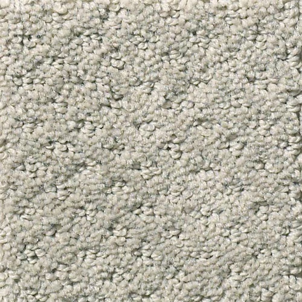 Shaw Foundations Infallible Instinct Carpet in Silhouette