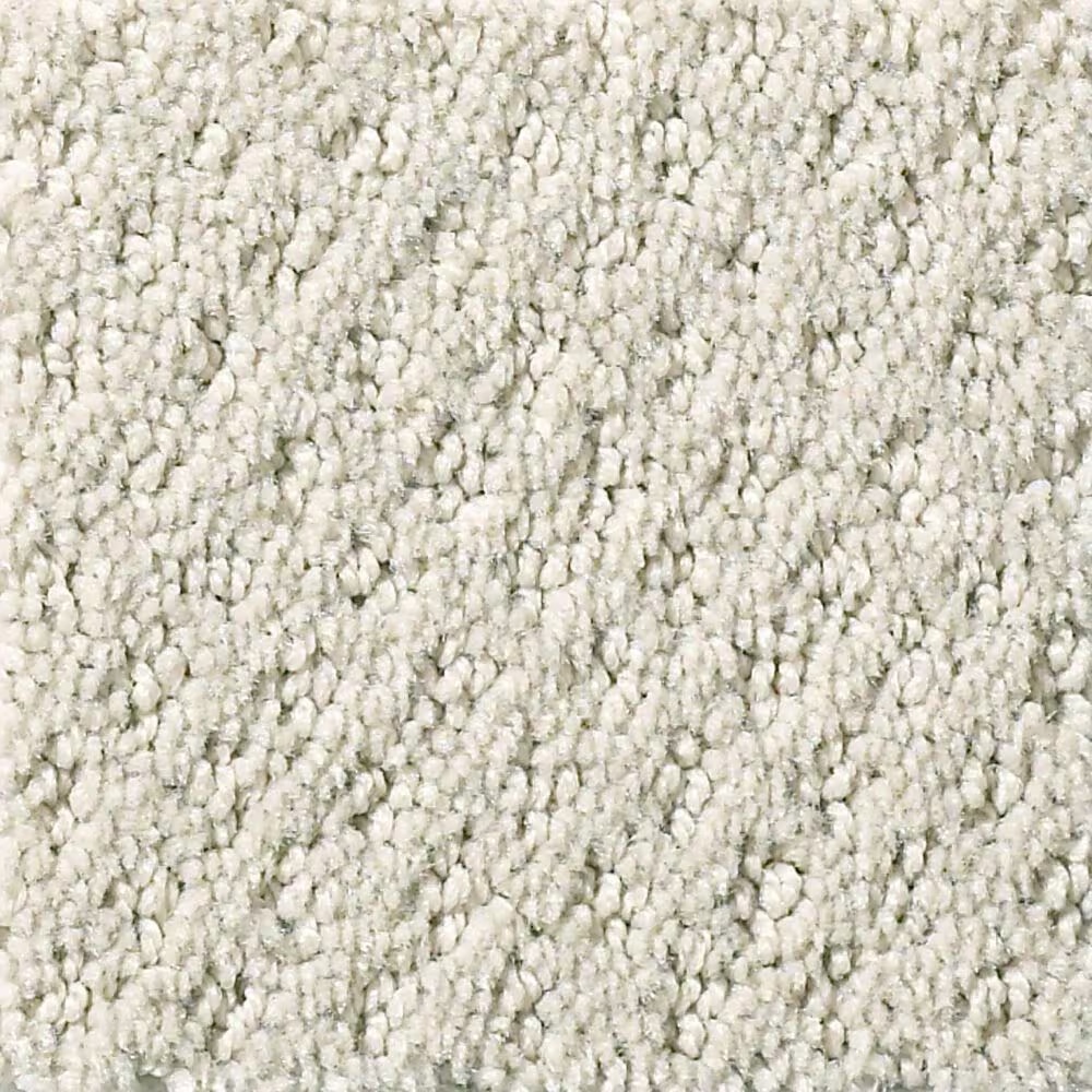 Shaw Foundations Infallible Instinct Carpet in Etched Glass