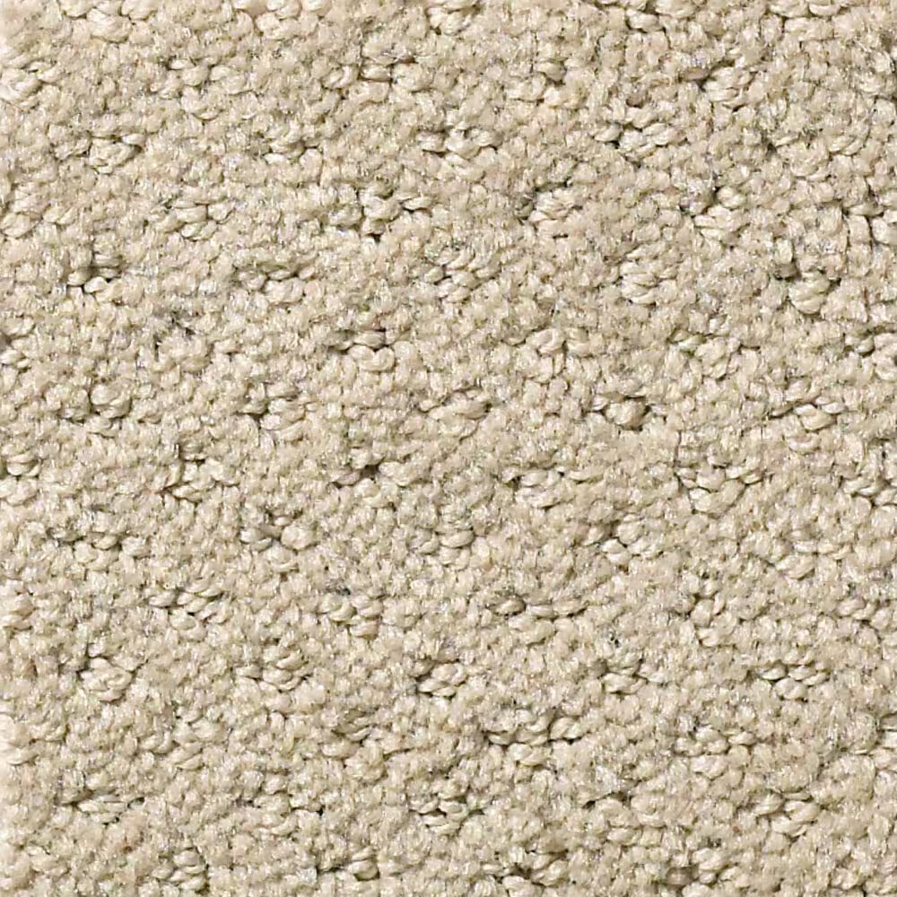 Shaw Foundations Infallible Instinct Carpet in Park Avenue