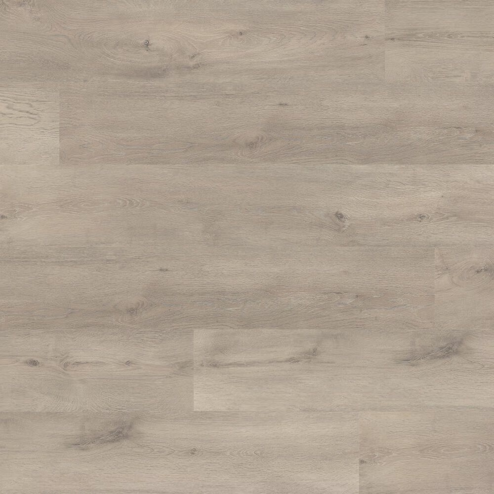 Paramount Alpine Beaver Creek 8" x 47" Laminate