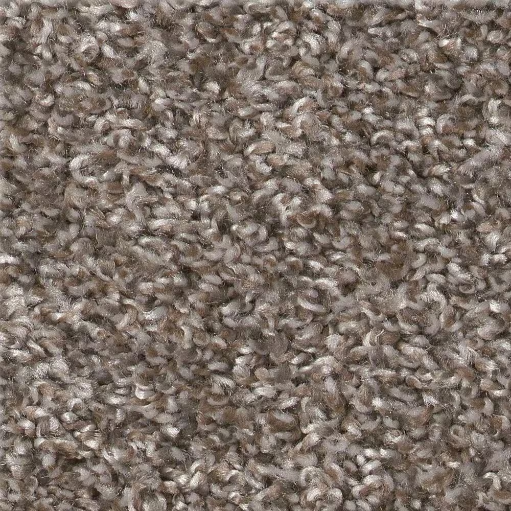 Shaw Shake It Up Carpet E9446 in English Oak