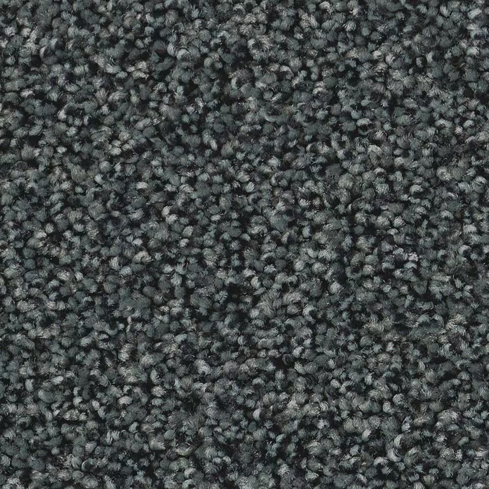 Anderson Tuftex Fabulous Carpet in Grand Canal