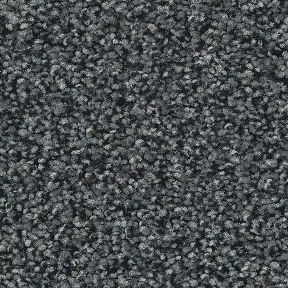 Anderson Tuftex Fabulous Carpet in Charcoal Blue