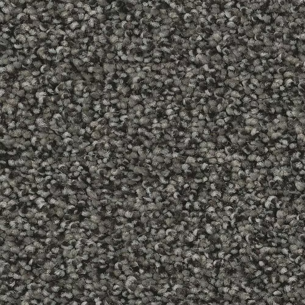 Anderson Tuftex Fabulous Carpet in Rock Bottom
