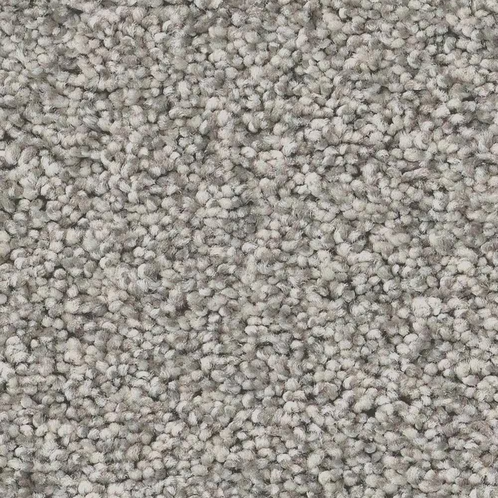 Anderson Tuftex Fabulous Carpet in Platinum