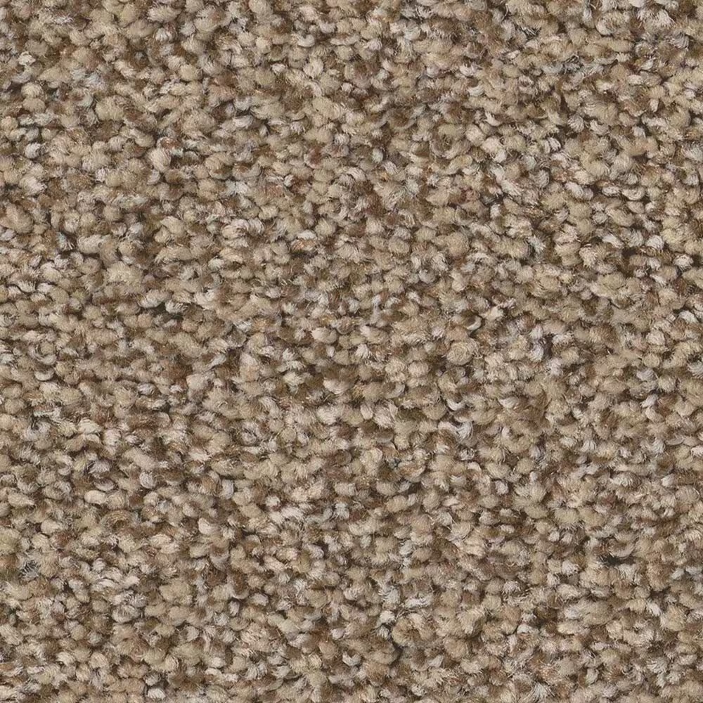 Anderson Tuftex Fabulous Carpet in Distant Land