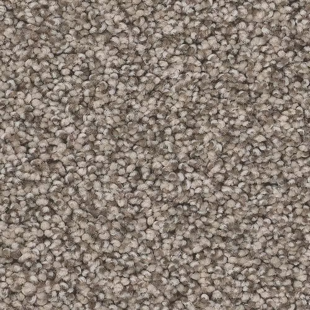Anderson Tuftex Fabulous Carpet in Pashmina