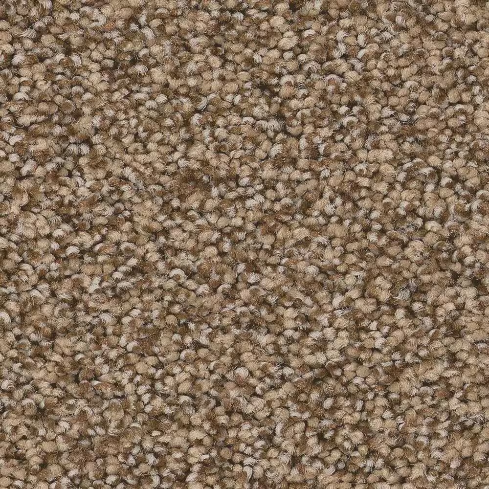 Anderson Tuftex Fabulous Carpet in Toffee