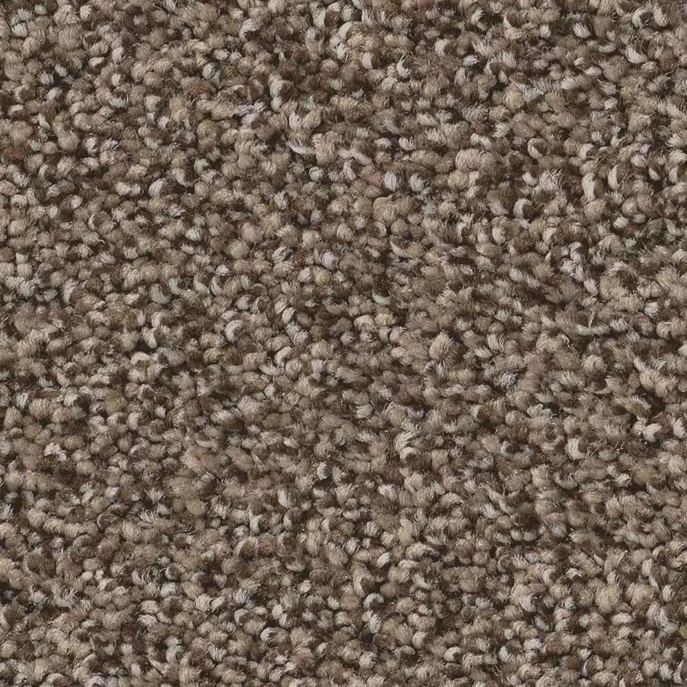 Anderson Tuftex Fabulous Carpet in Smokehouse