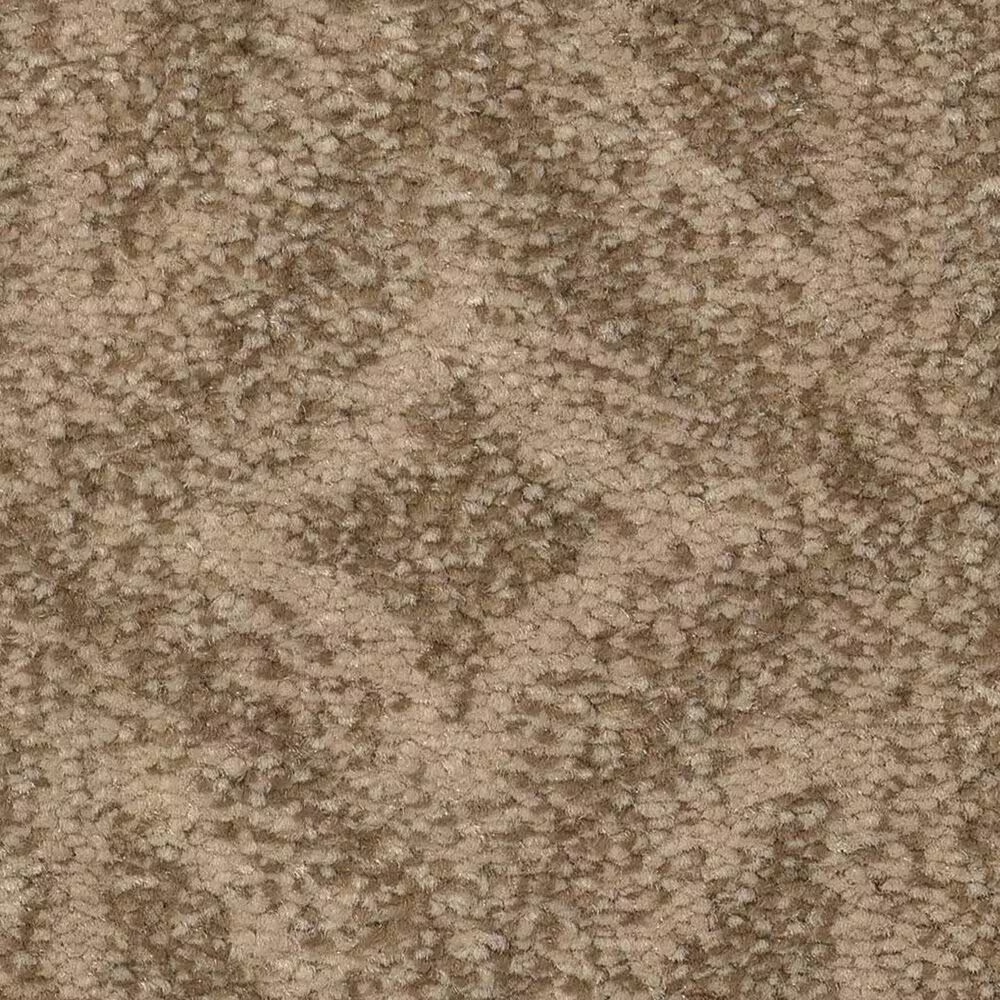 Anderson Tuftex Enlightened Carpet in Windswept