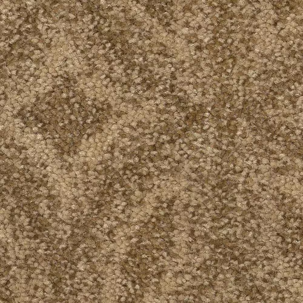 Anderson Tuftex Enlightened Carpet in Summerwood