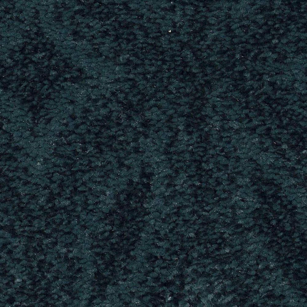 Anderson Tuftex Enlightened Carpet in Pacific Oasis