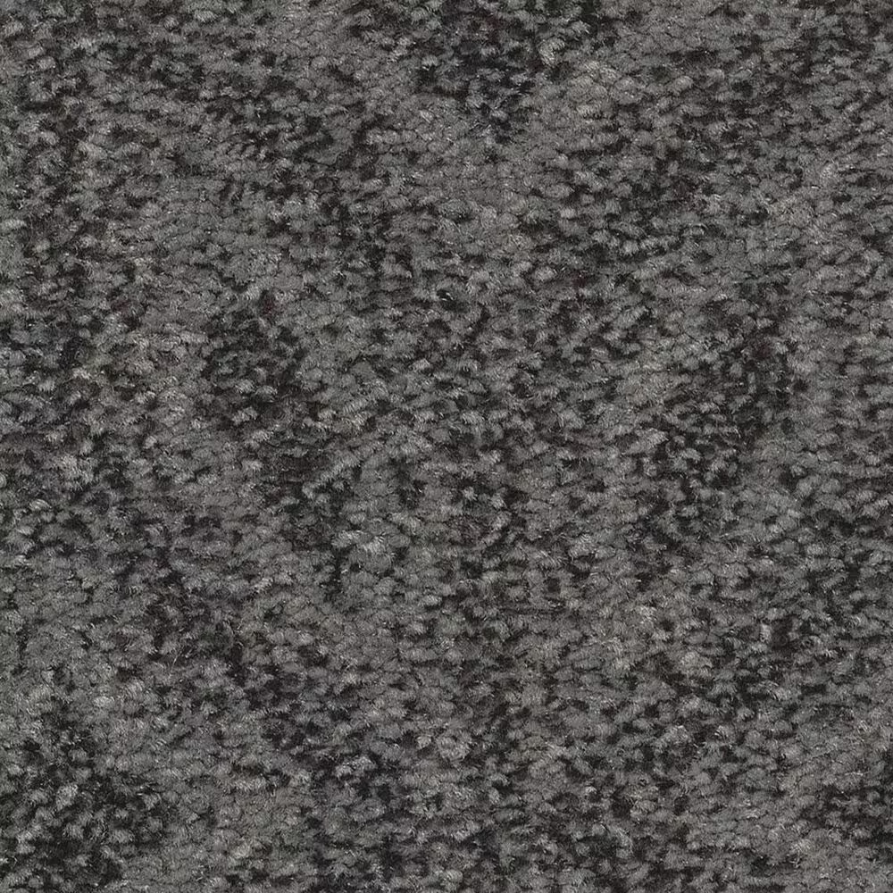 Anderson Tuftex Enlightened Carpet in In The Shade