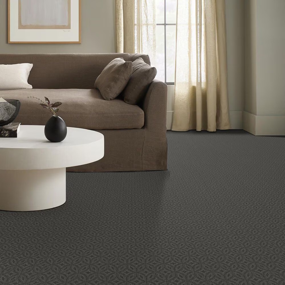 158506-anderson-tuftex-enlightened-carpet-in-in-the-shade-1.jpg