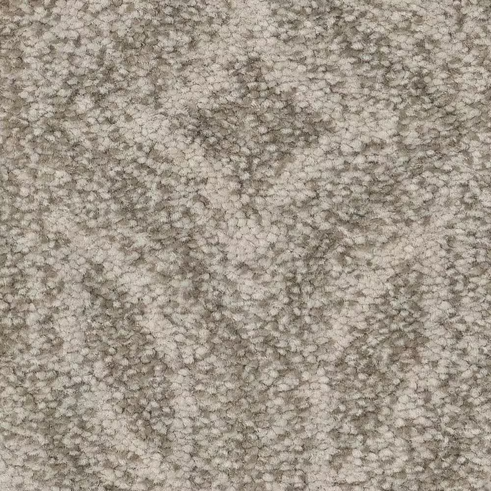 Anderson Tuftex Enlightened Carpet in Sentimental