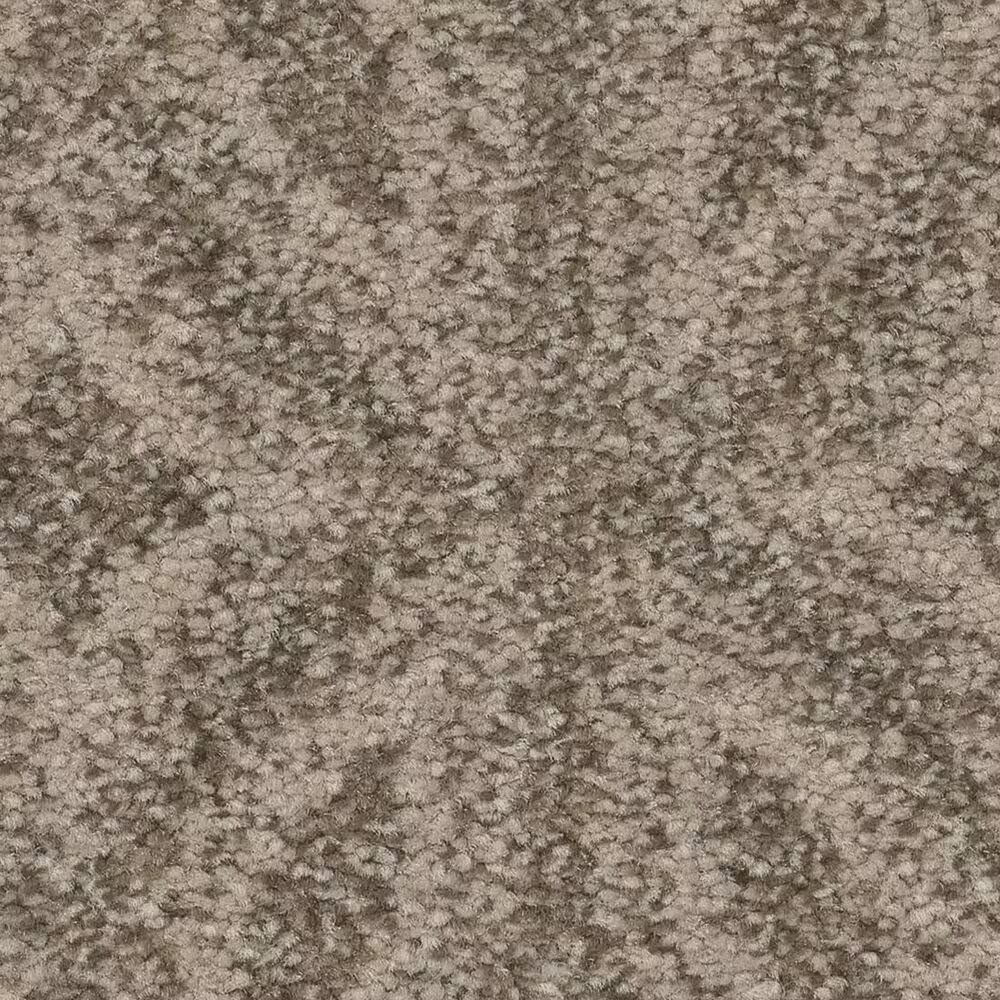 Anderson Tuftex Enlightened Carpet in Toasty Gray