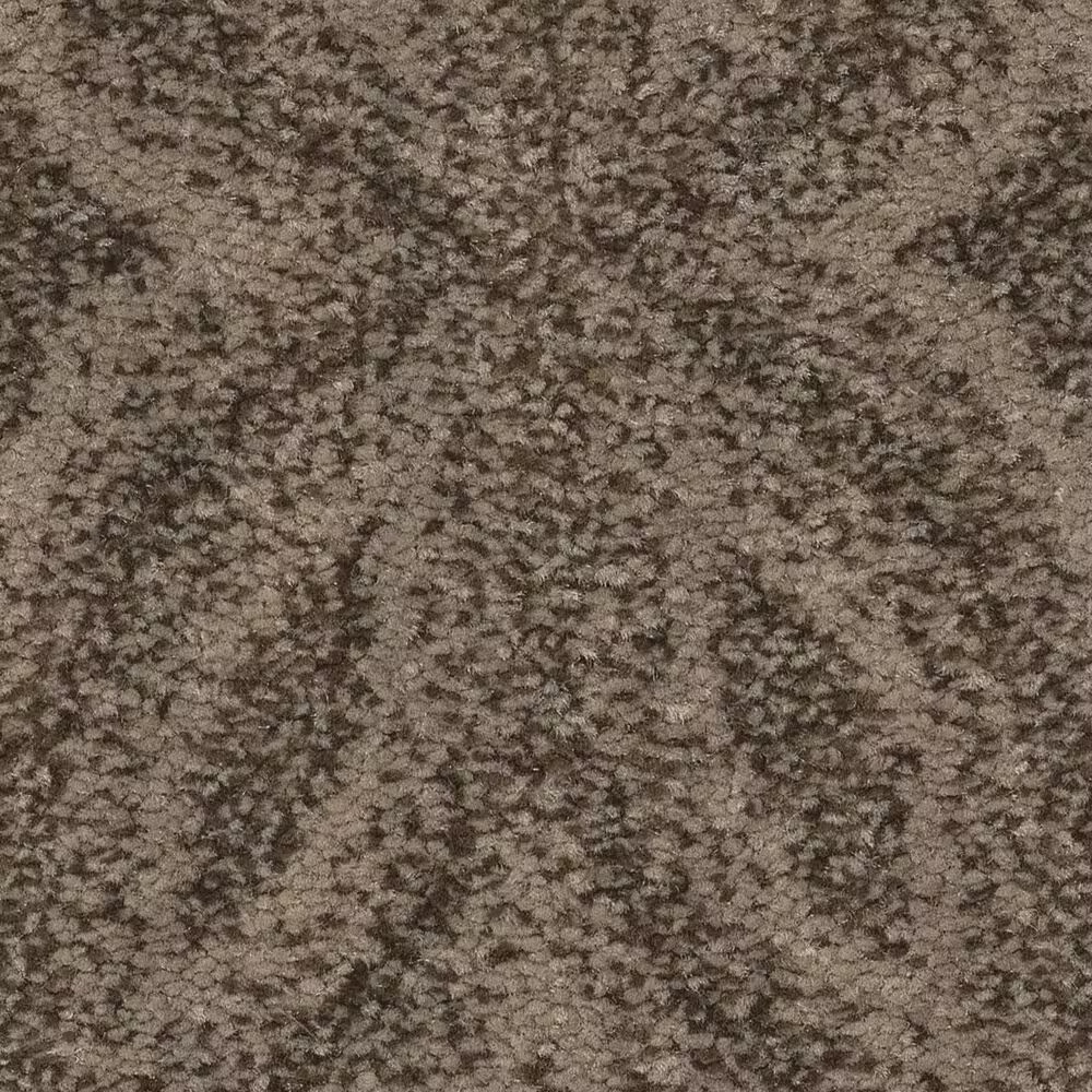 Anderson Tuftex Enlightened Carpet in Arrowhead