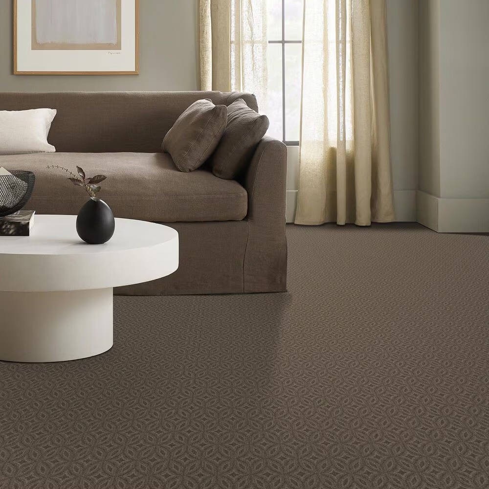 158563-anderson-tuftex-enlightened-carpet-in-arrowhead-1.jpg