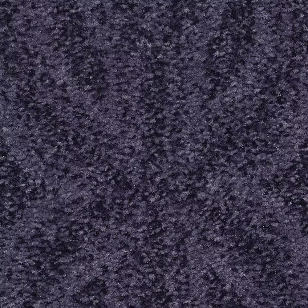 Anderson Tuftex Enlightened Carpet in Dark Lilac