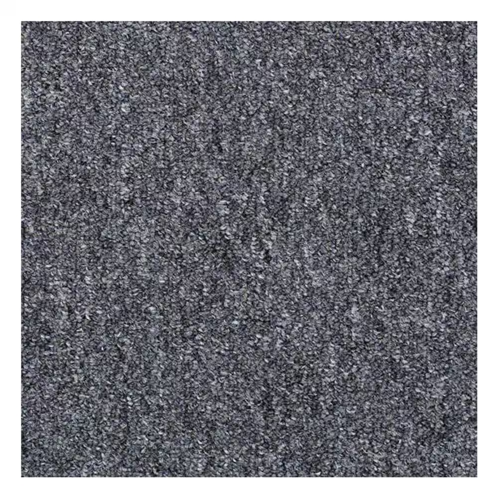 Shaw Capital Classic E3 Carpet in Governor