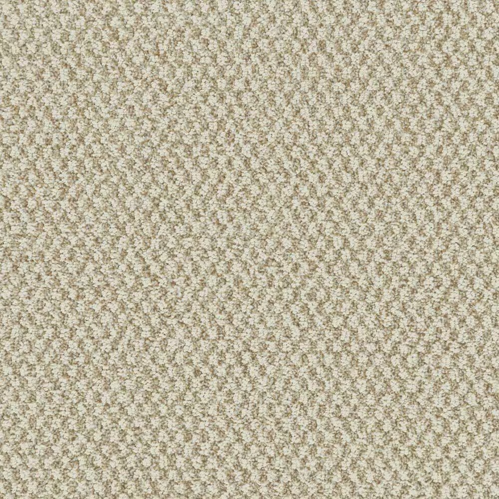 Karastan Striking Pose Carpet in Desert Sand